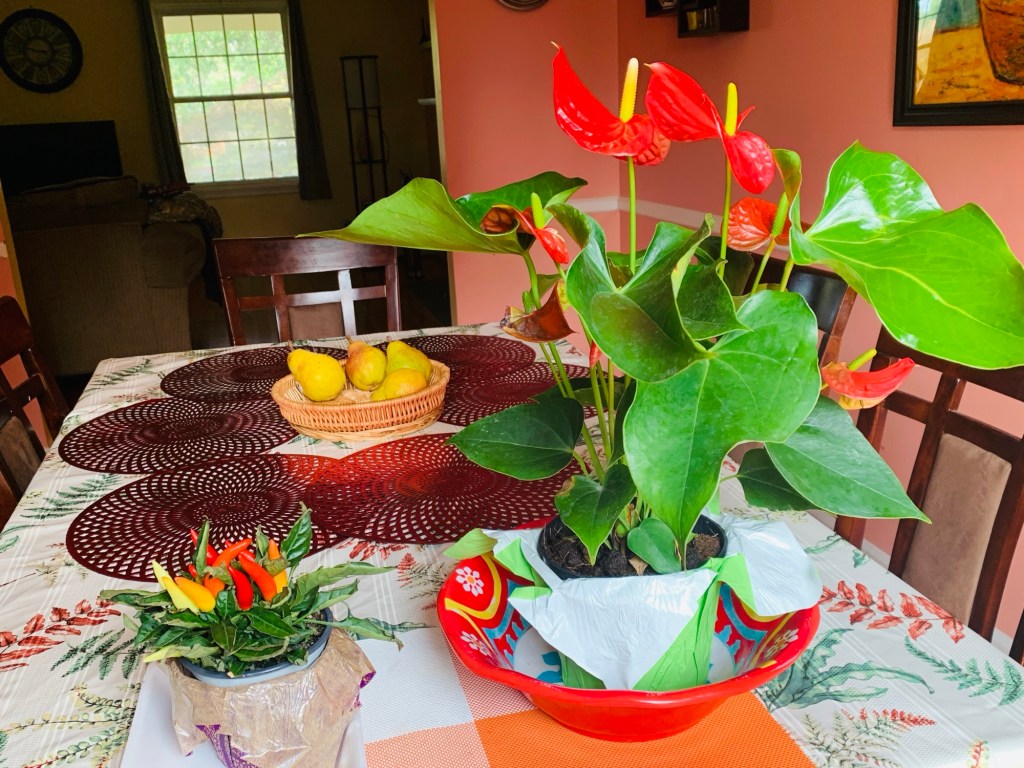 🌿 El primer paso 