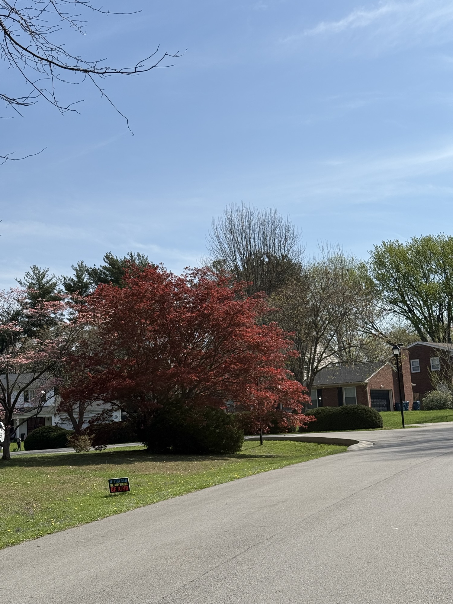 🪴Son aquellas pequeñas cosas…