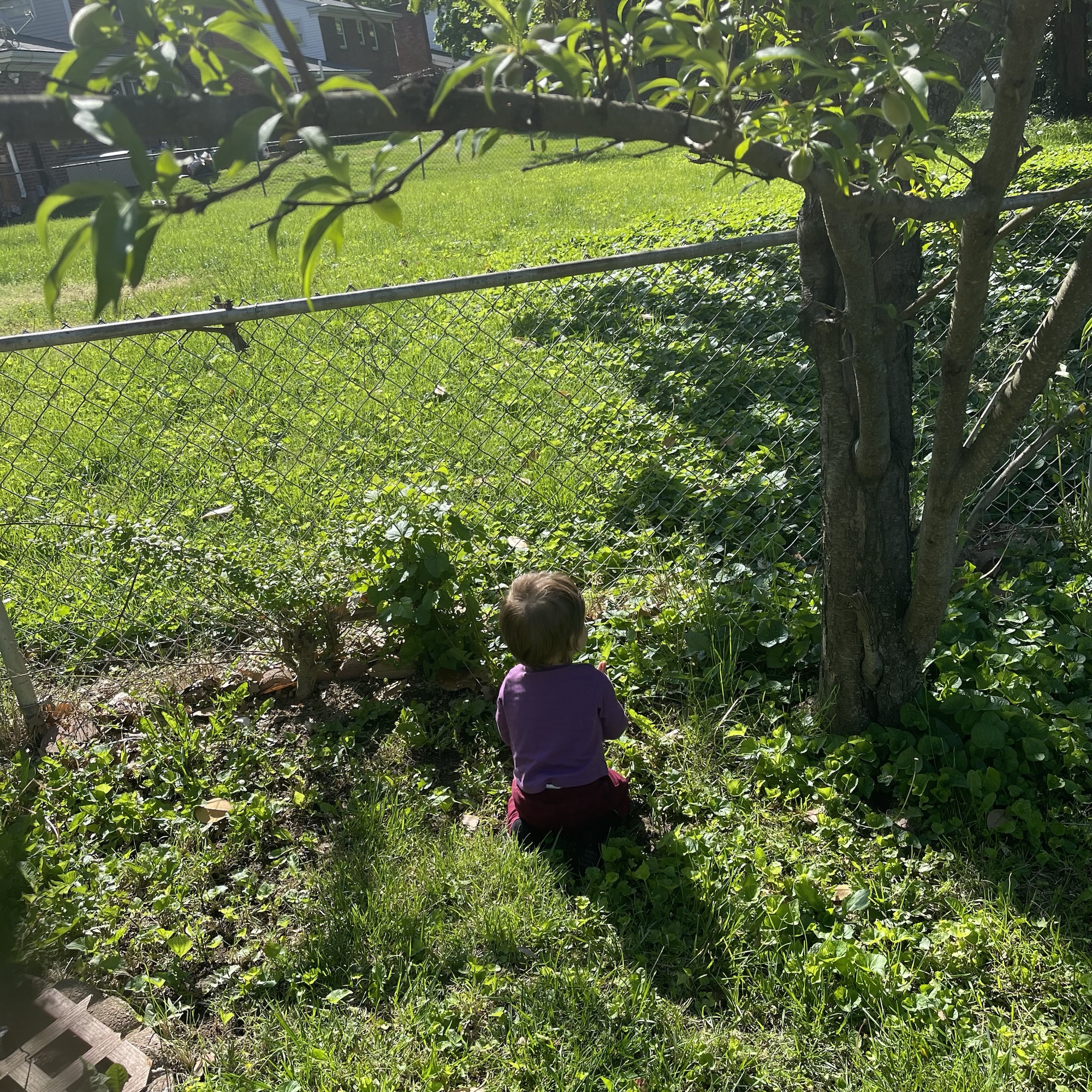 👵Jugar con mis nietos