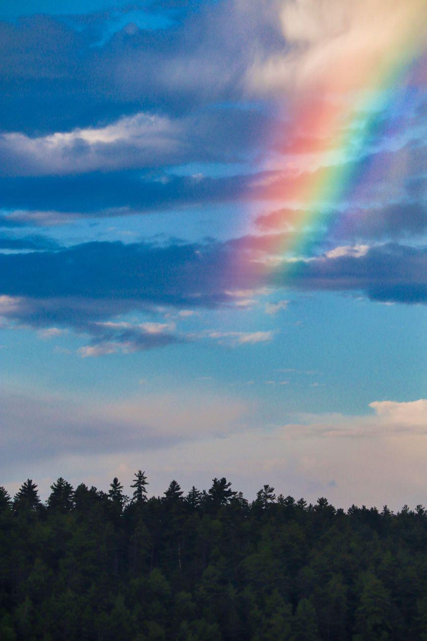 🌈El arcoiris tropical