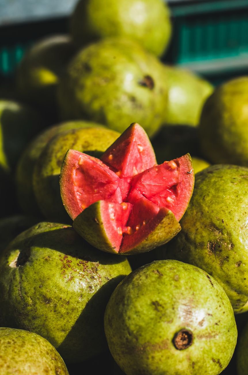 🍑 La guayaba: la superfruta humilde que define a los cubanos